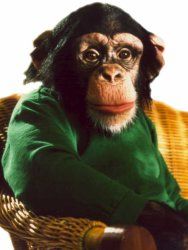 Poster der Serie Unser Charly Staffel 15