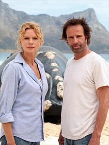 Poster der Serie Das Geheimnis der Wale Staffel 1