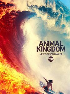 Poster der Serie Animal Kingdom Staffel 4