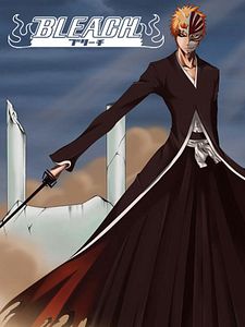 Poster der Serie Bleach Staffel 5