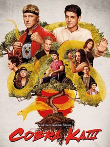Poster der Serie Cobra Kai Staffel 2