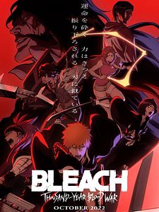 Poster der Serie Bleach Staffel 17