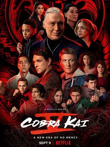 Poster der Serie Cobra Kai Staffel 5