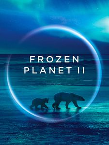 Poster der Serie Frozen Planet II Staffel 1