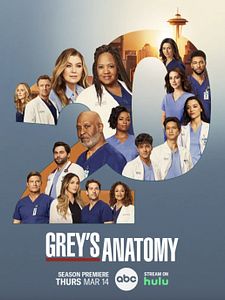 Poster der Serie Grey's Anatomy - Die jungen Ärzte Staffel 20