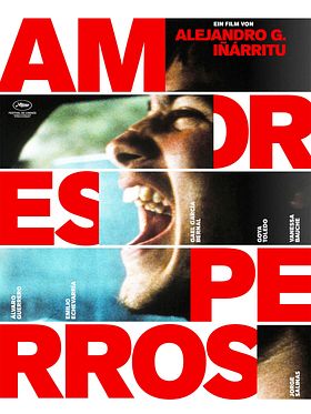 Poster der Amores Perros