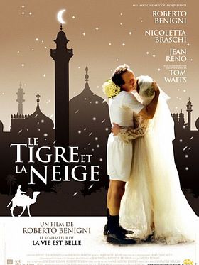 Poster der Der Tiger und der Schnee