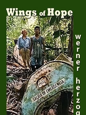 Poster der Julianes Sturz in den Dschungel