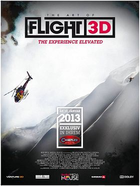 Poster der Art of Flight