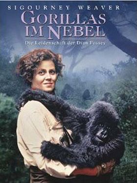 Poster der Gorillas im Nebel