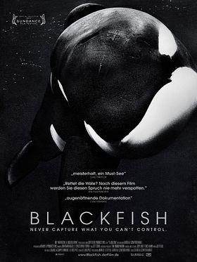 Poster der Blackfish