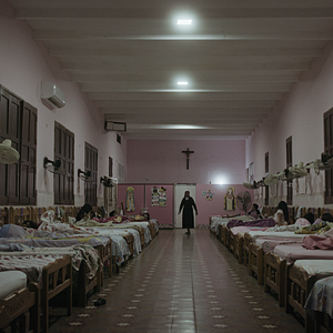 Bilder Das Land der verlorenen Kinder