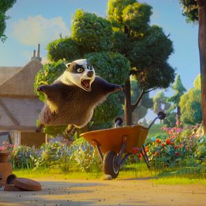 Bilder Alles für die Katz