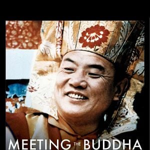 Bilder Meeting The Buddha