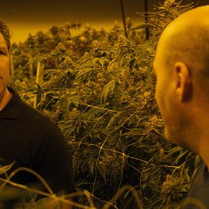 Bilder The Last Deal