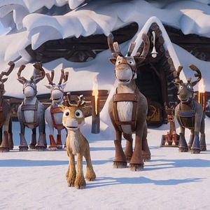 Bilder Niko - Reise zu den Polarlichtern