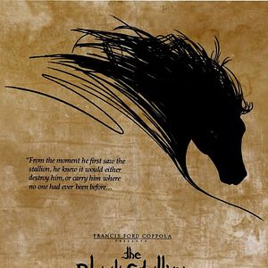 Bilder Der schwarze Hengst