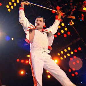 Bilder Freddie Mercury