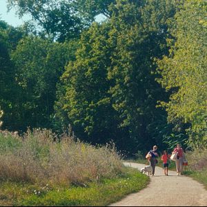 Bilder Ein Sommer in Paris