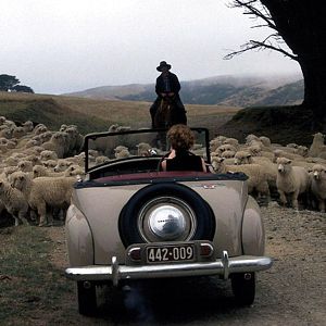 Bilder Der Liebe entgegen