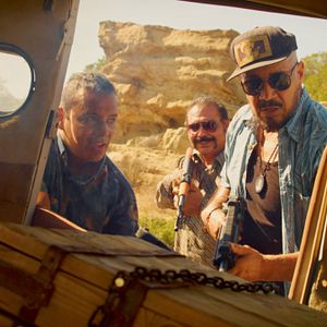 Bilder Dominique - Rise Of The Phoenix