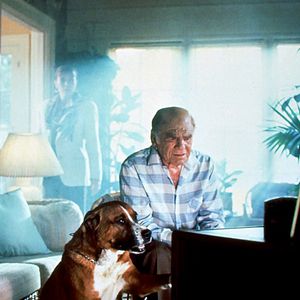 Bilder Lionel Stander