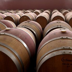 Bilder Das Land der tausend Weine