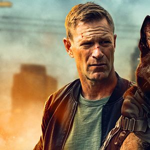 Bilder Muzzle: City Of Wolves