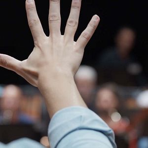 Bilder Wir, das Orchester