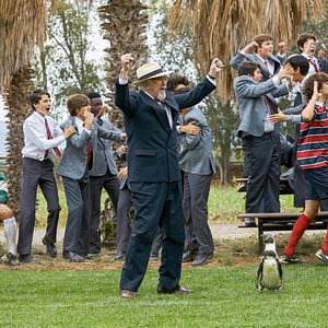 Bilder Der Pinguin meines Lebens