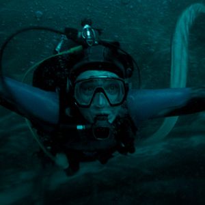 Bilder Whalefall