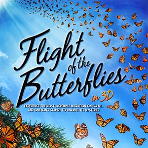 Bilder Flug der Schmetterlinge