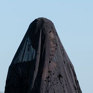 Bilder Okwui Okpokwasili