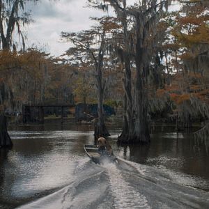Bilder Caddo Lake