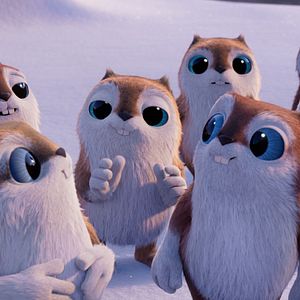 Bilder Niko - Reise zu den Polarlichtern