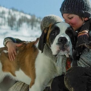 Bilder Mein Freund Barry