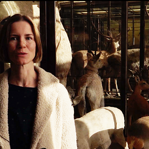 Bilder Anstatt Bäumen