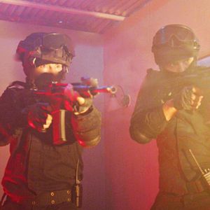 Bilder Dominique - Rise Of The Phoenix