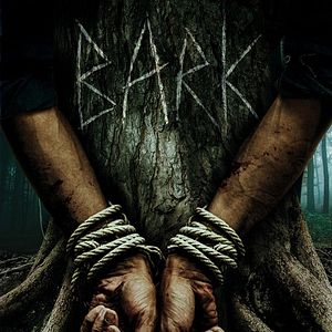 Bilder Bark – Nichts bleibt verborgen