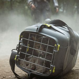 Bilder Apokalypse Z: Der Anfang vom Ende