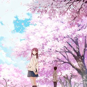 Bilder I Want to Eat Your Pancreas