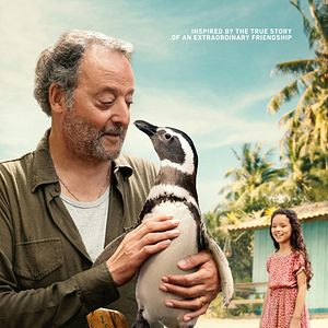 Bilder My Penguin Friend