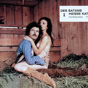 Bilder Des Satans heiße Katzen