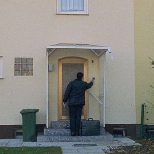 Bilder Die Blume der Hausfrau