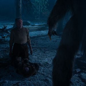 Bilder Yeti