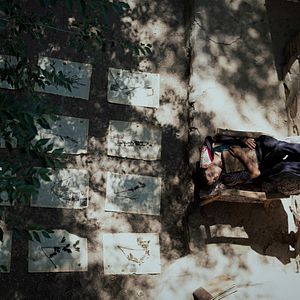 Bilder Der Botaniker