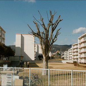 Bilder Kinki - Masarus Fluch
