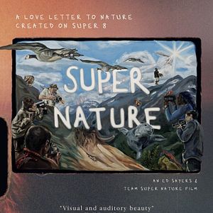 Bilder Super Nature