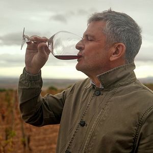 Bilder Das Land der tausend Weine