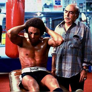 Bilder Michael V. Gazzo